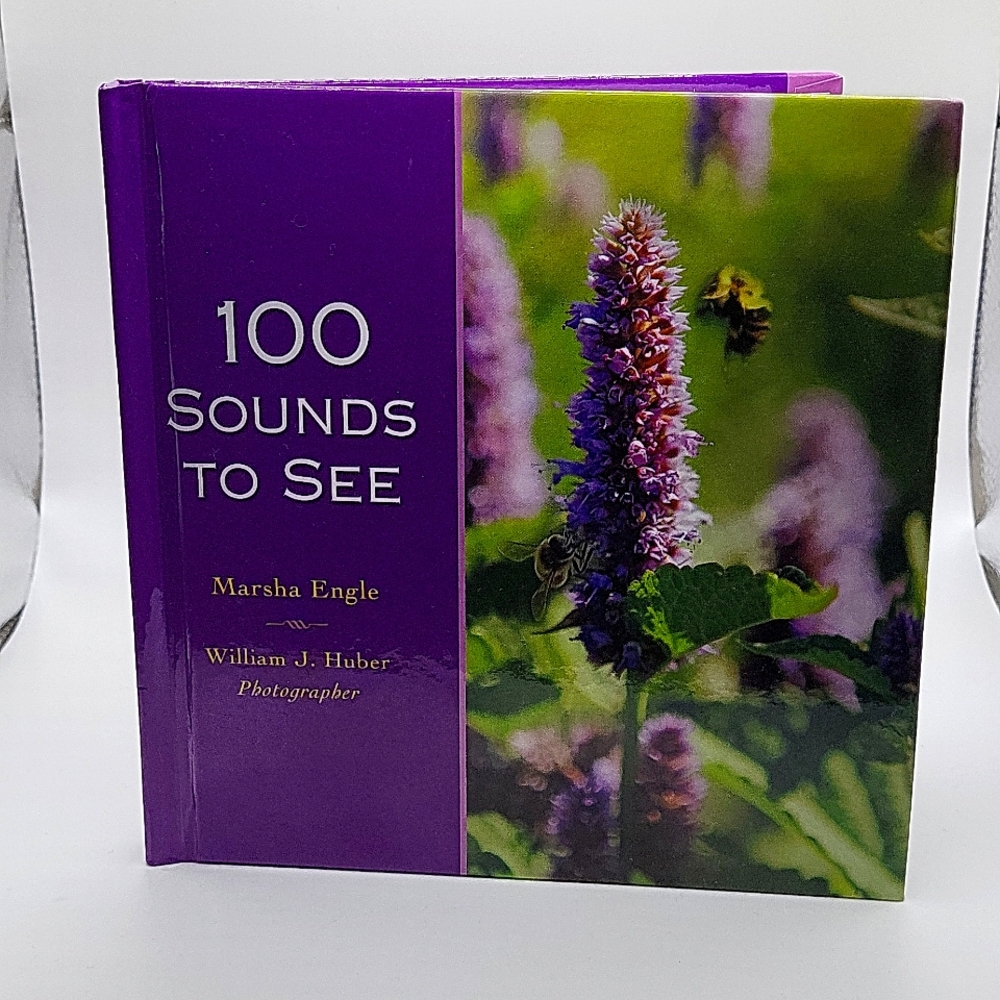 100 Sounds To See  A Illustrated Photography Book About Sound. Hard Cover
